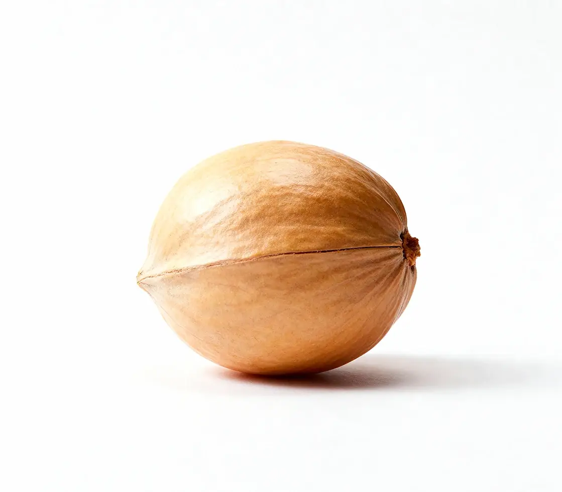 Wild Yam Root (20 mg), a VapoFil ingredient