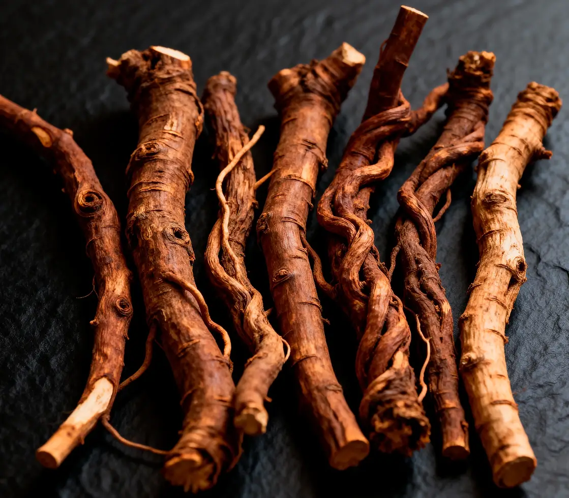 Sarsaparilla Root (20 mg), a VapoFil ingredient
